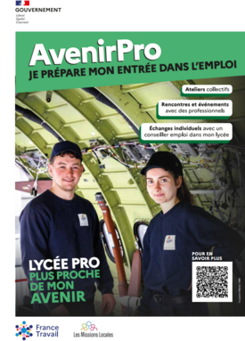 dispositif avenir pro.png