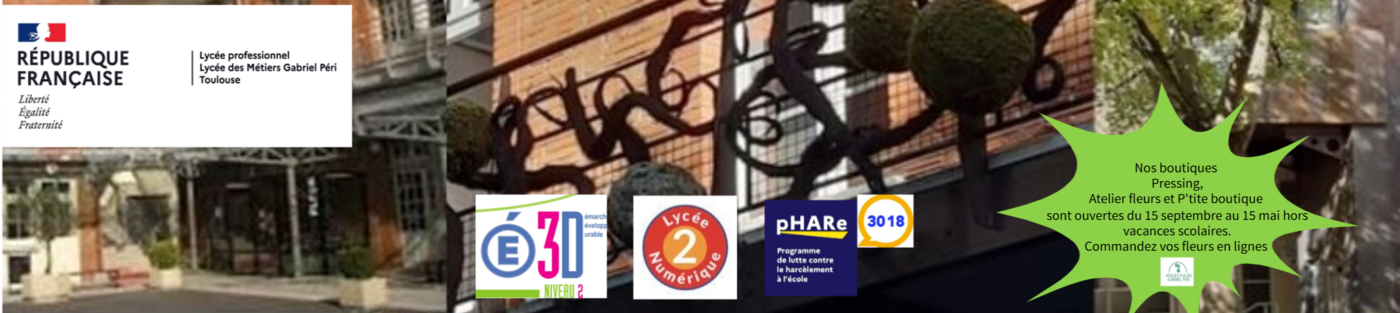 Photo image page accueil ENT.png